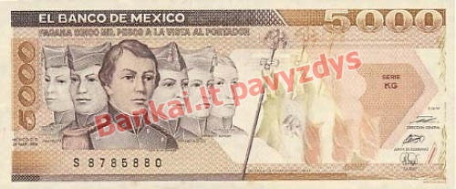 5000 Pesų banknoto priekinė pusė