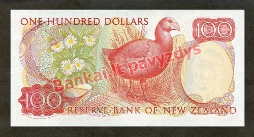 100 Dolerių banknoto galinė pusė
