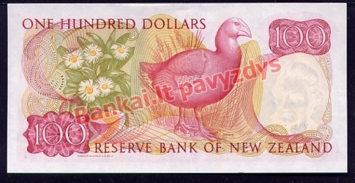 100 Dolerių banknoto galinė pusė