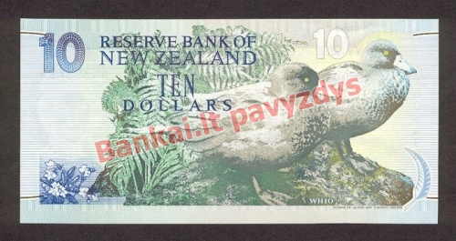 10 Dolerių banknoto galinė pusė