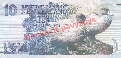 10 Dolerių banknoto galinė pusė