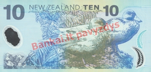 10 Dolerių banknoto galinė pusė