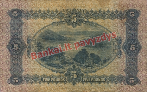 5 Svarų banknoto galinė pusė