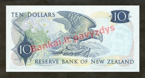 10 Dolerių banknoto galinė pusė