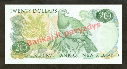 20 Dolerių banknoto galinė pusė