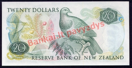 20 Dolerių banknoto galinė pusė