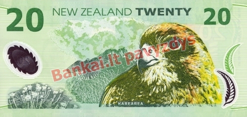 20 Dolerių banknoto galinė pusė