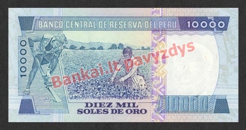 10000 Solių banknoto galinė pusė