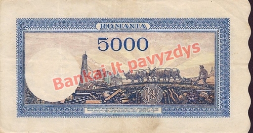 5000 Lėjų banknoto galinė pusė