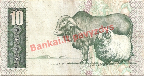 10 Randų banknoto galinė pusė