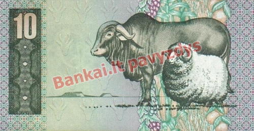 10 Randų banknoto galinė pusė
