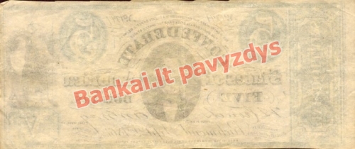 5 Dolerių banknoto galinė pusė