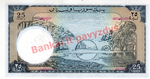 25 Livrų banknoto galinė pusė