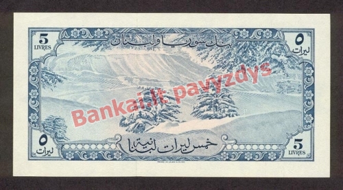 5 Livrų banknoto galinė pusė