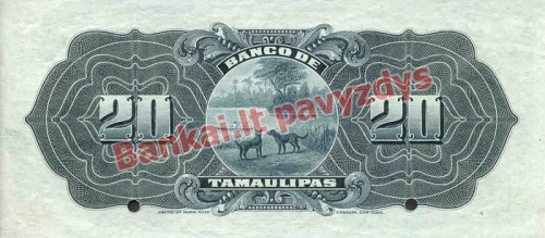 20 Pesų banknoto galinė pusė