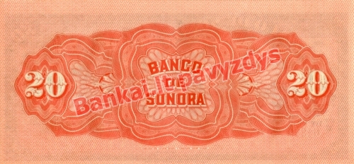 20 Pesų banknoto galinė pusė