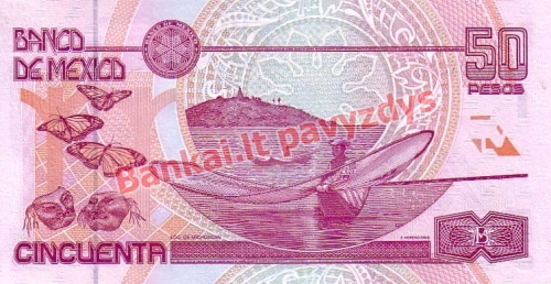 50 Pesų banknoto galinė pusė