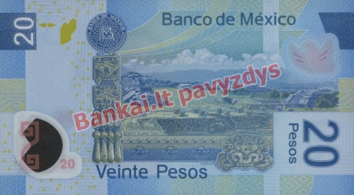 20 Pesų banknoto galinė pusė