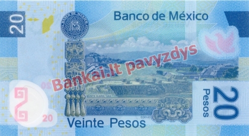 20 Pesų banknoto galinė pusė