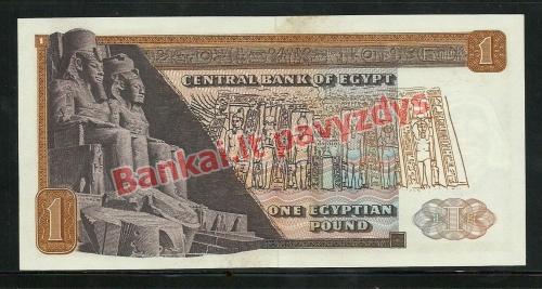 1 Svaro banknoto galinė pusė