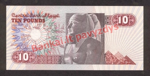 10 Svarų banknoto galinė pusė