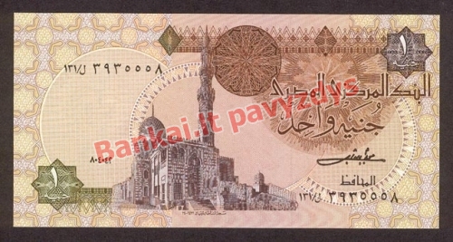 1 Svaro banknoto priekinė pusė
