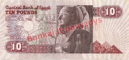 10 Svarų banknoto galinė pusė