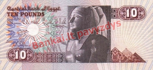 10 Svarų banknoto galinė pusė