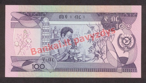 100 Birų banknoto galinė pusė