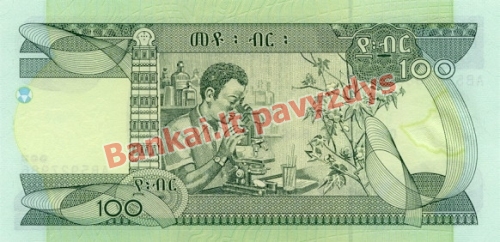 100 Birų banknoto galinė pusė