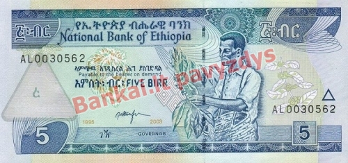 5 Birų banknoto priekinė pusė