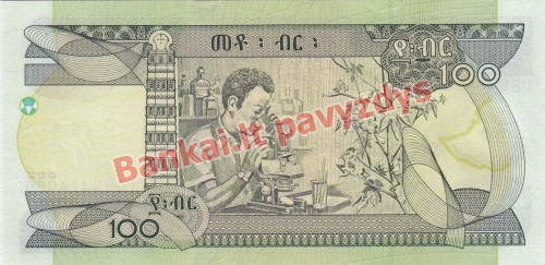 100 Birų banknoto galinė pusė