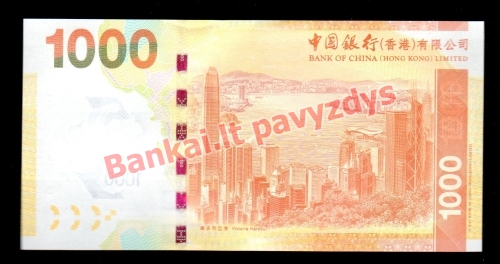 1000 Dolerių banknoto galinė pusė