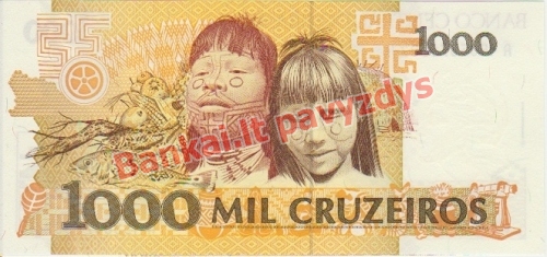 1000 Cruzeirų banknoto galinė pusė