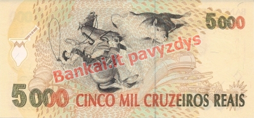 5000 Cruzeiros Reaisų banknoto galinė pusė