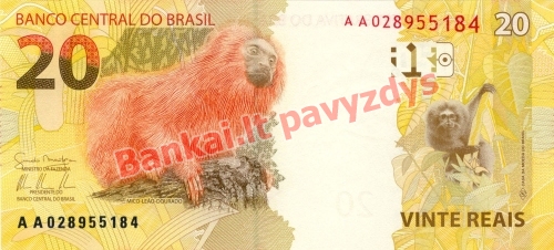 20 Reais banknoto galinė pusė