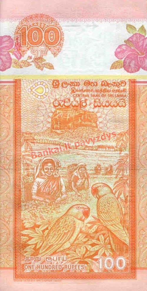 100 Rupijų banknoto galinė pusė