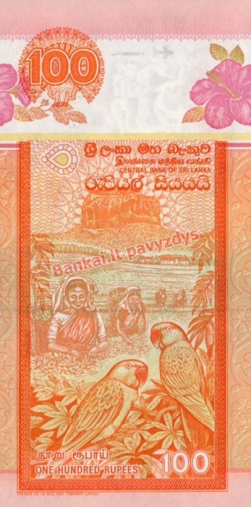 100 Rupijų banknoto galinė pusė