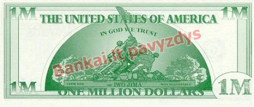 1000000 Dolerių banknoto galinė pusė