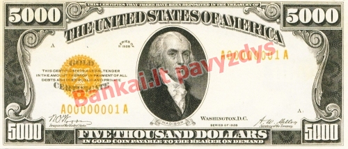 5000 Dolerių banknoto priekinė pusė