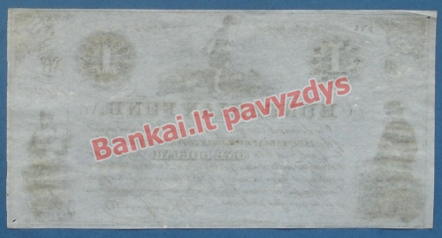 1 Dolerio banknoto galinė pusė