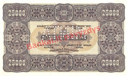 25000 Koronų banknoto galinė pusė
