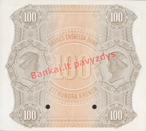 100 Kronų banknoto galinė pusė