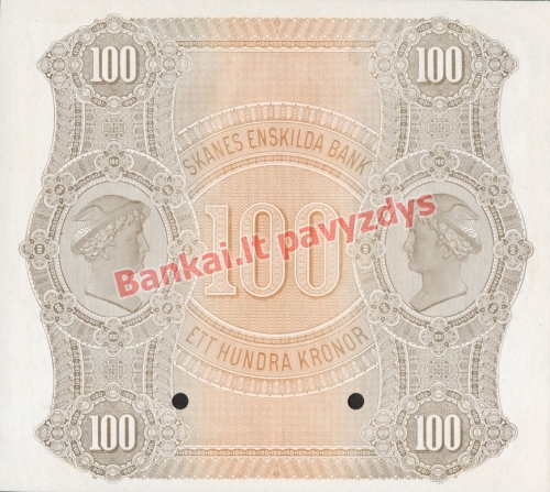 100 Kronų banknoto galinė pusė