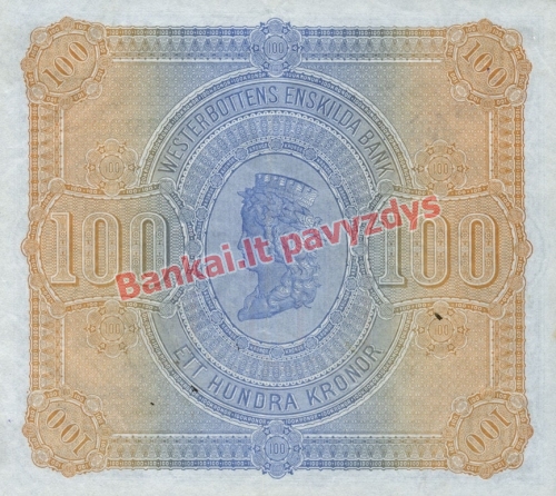 100 Kronų banknoto galinė pusė