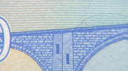20 eurų mikrotesto vaizdas