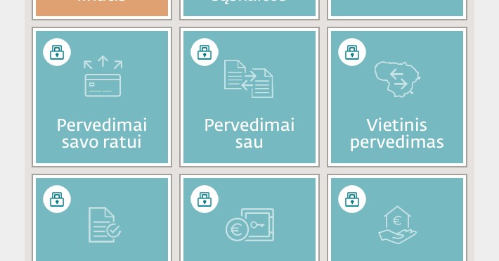 DNB programėlė