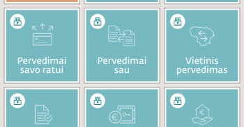 DNB programėlė mini
