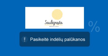 Saulėgrąža indėliai mini