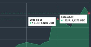 EUR/USD kursas vasario 5-12 d. mini